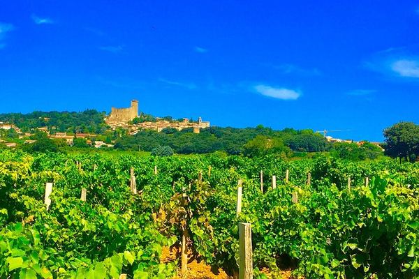 Small-Group Half-Day Wine Tour from Avignon via Gigondas and Châteauneuf-du-Pape