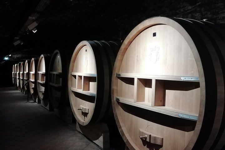 Small-Group Half-Day Wine Tour from Avignon via Gigondas and Châteauneuf-du-Pape (4/4)
