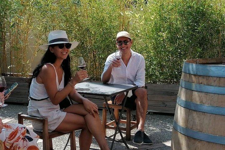 Bellet Hill Organic Wine Half Day from Nice: Two Vineyards and Provence Bites (7/11)