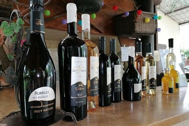 Bellet Hill Organic Wine Half Day from Nice: Two Vineyards and Provence Bites (11/11)
