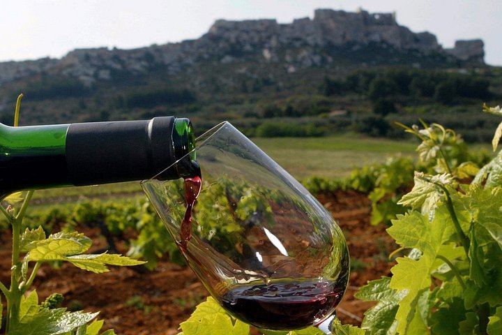 Private Full-Day Provence Wine Tour in the Var: Les Arcs-sur-Argens Châteaux and Tastings (1/8)