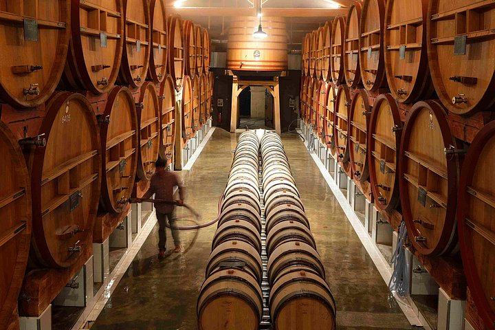 Private Full-Day Provence Wine Tour in the Var: Les Arcs-sur-Argens Châteaux and Tastings (3/8)