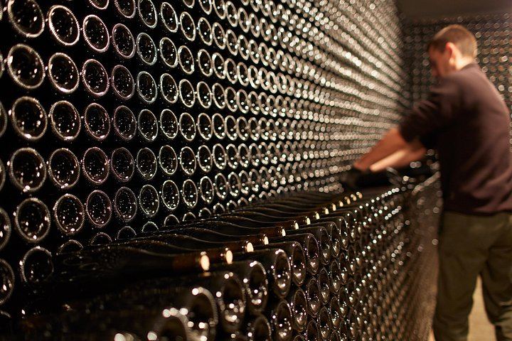 Private Full-Day Provence Wine Tour in the Var: Les Arcs-sur-Argens Châteaux and Tastings (5/8)