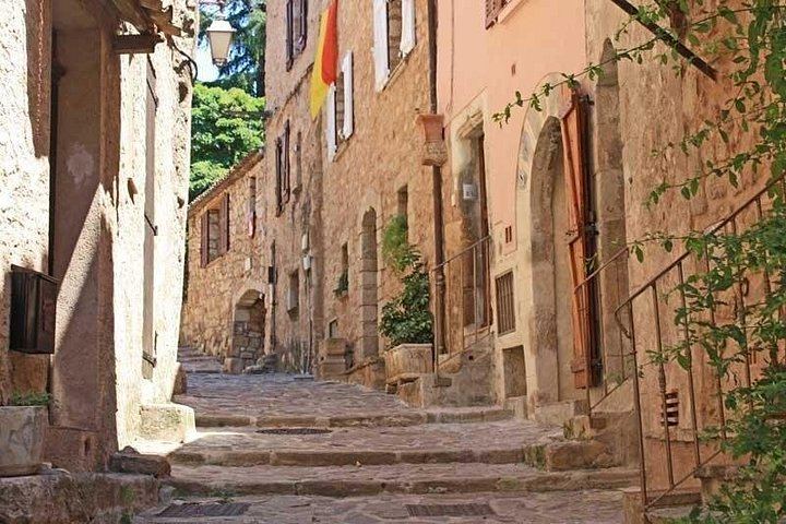 Private Full-Day Provence Wine Tour in the Var: Les Arcs-sur-Argens Châteaux and Tastings (4/8)