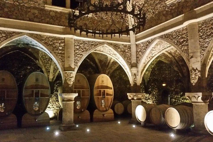 Private Full-Day Provence Wine Tour in the Var: Les Arcs-sur-Argens Châteaux and Tastings (6/8)
