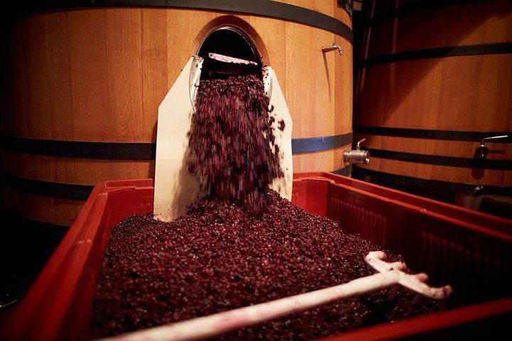 Private Full-Day Provence Wine Tour in the Var: Les Arcs-sur-Argens Châteaux and Tastings (2/8)