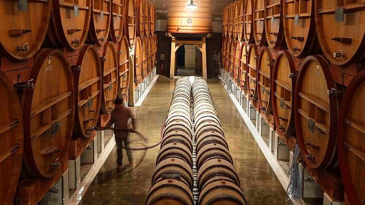 Private Full-Day Provence Wine Tour in the Var: Les Arcs-sur-Argens Châteaux and Tastings (3/8)