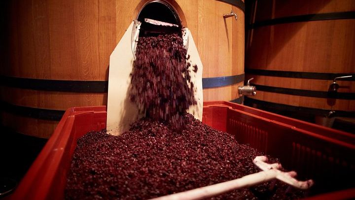 Private Full-Day Provence Wine Tour in the Var: Les Arcs-sur-Argens Châteaux and Tastings (2/8)