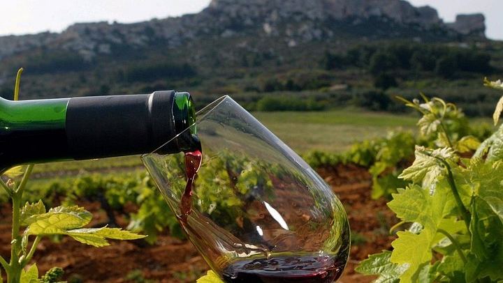 Private Full-Day Provence Wine Tour in the Var: Les Arcs-sur-Argens Châteaux and Tastings (1/8)