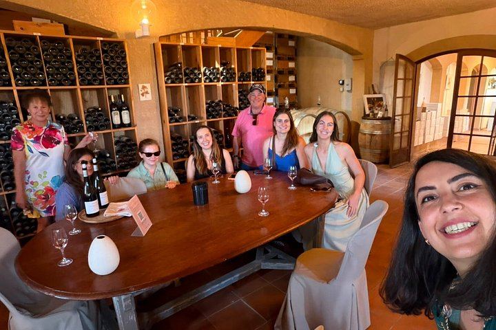 Small-Group Half-Day Côtes de Provence Wine Tour from Aix with Two Family Wineries (4/8)