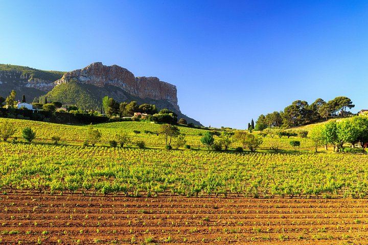 Small-Group Half-Day Côtes de Provence Wine Tour from Aix with Two Family Wineries (1/8)