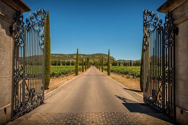 Small-Group Half-Day Côtes de Provence Wine Tour from Aix with Two Family Wineries (8/8)