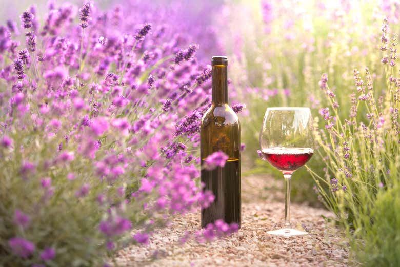 Private Sidecar Tour from Aix: Lavender Fields, Wine Tasting and Calissons, 2 or 4 Hours (6/8)