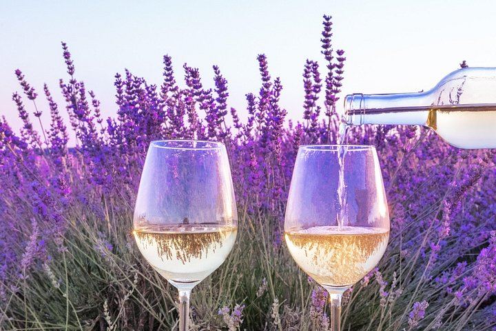 Small-Group Half-Day Côtes de Provence Wine Tour from Aix with Two Family Wineries (5/8)