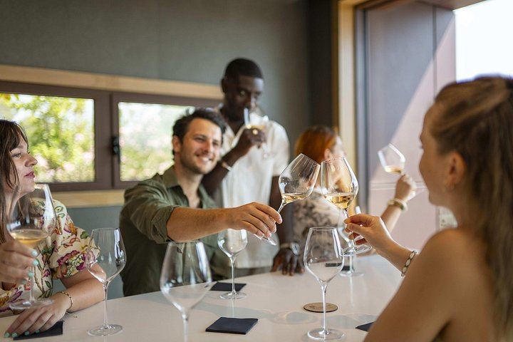 Private Provence Wine Day from Nice: Saint-Martin, Font du Broc and a Third Organic Estate (9/12)