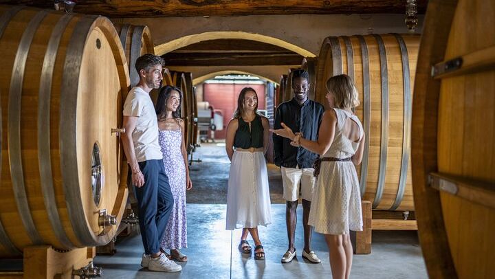 Small-Group Provence Rosé Wine Tour from Nice with Azur Wine Tours, Max 8 (4/12)