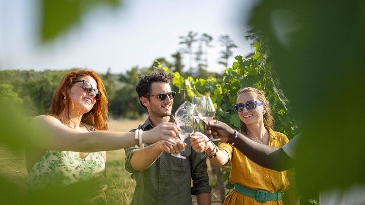 Small-Group Provence Rosé Wine Tour from Nice with Azur Wine Tours, Max 8 (1/12)