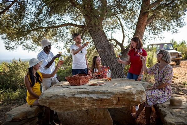 Cannes Small-Group Provence Wine Tour: Saint-Martin, Font du Broc and About 15 Wines