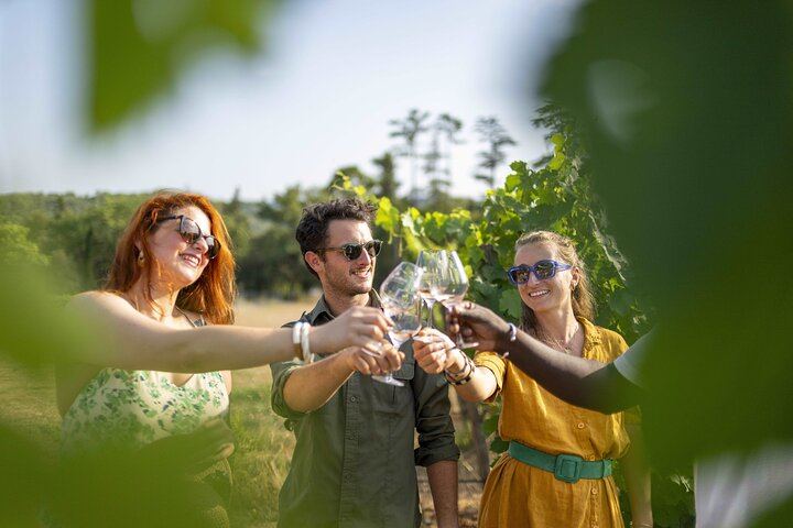 Small-Group Provence Rosé Wine Tour from Nice with Azur Wine Tours, Max 8 (1/12)