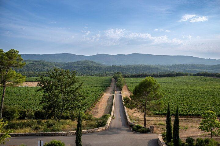 Private Provence Wine Day from Nice: Saint-Martin, Font du Broc and a Third Organic Estate (11/12)