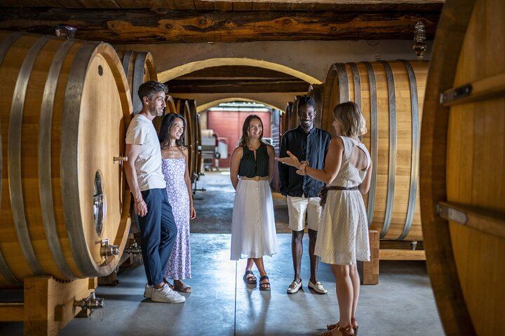 Private Provence Wine Day from Nice: Saint-Martin, Font du Broc and a Third Organic Estate (7/12)