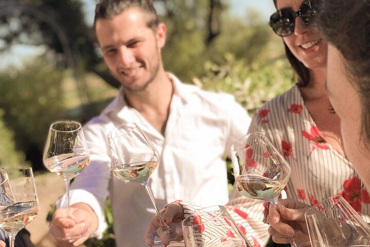 Cannes Small-Group Provence Wine Tour: Saint-Martin, Font du Broc and About 15 Wines (7/9)