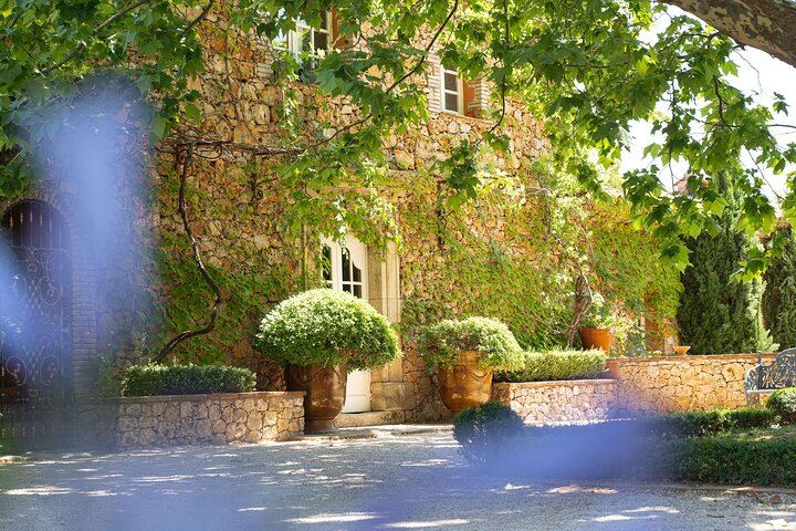 Private Provence Wine Day from Nice: Saint-Martin, Font du Broc and a Third Organic Estate (8/12)