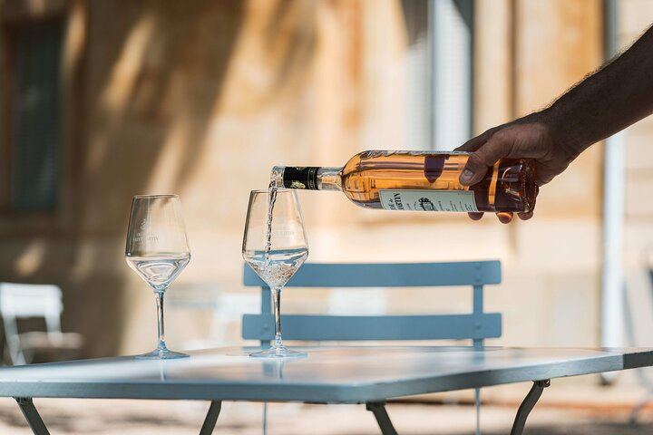 Private Provence Wine Day from Nice: Saint-Martin, Font du Broc and a Third Organic Estate (12/12)
