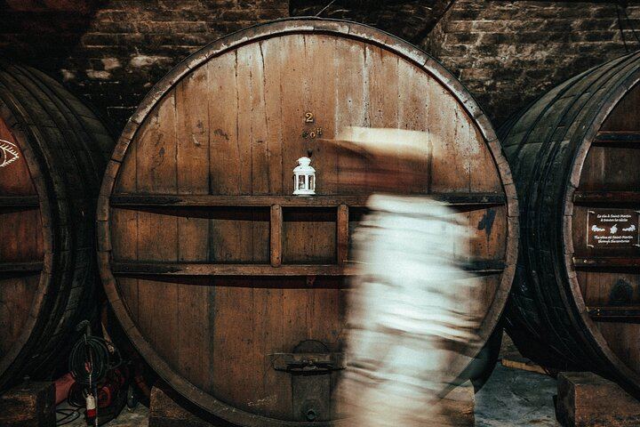 Cannes Small-Group Provence Wine Tour: Saint-Martin, Font du Broc and About 15 Wines (5/9)