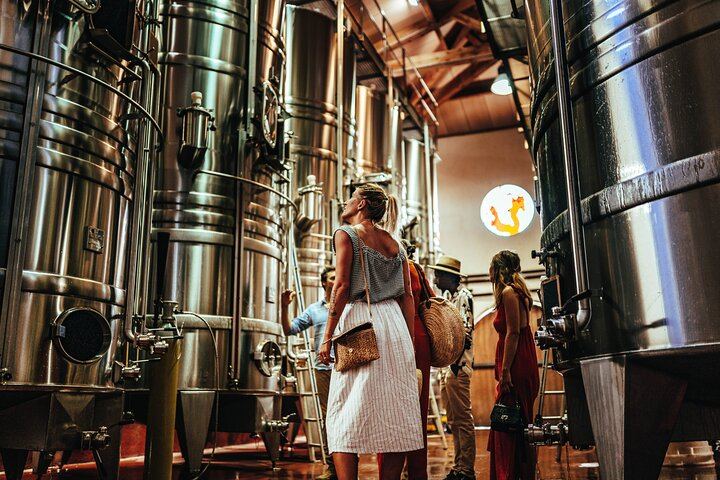 Cannes Small-Group Provence Wine Tour: Saint-Martin, Font du Broc and About 15 Wines (4/9)