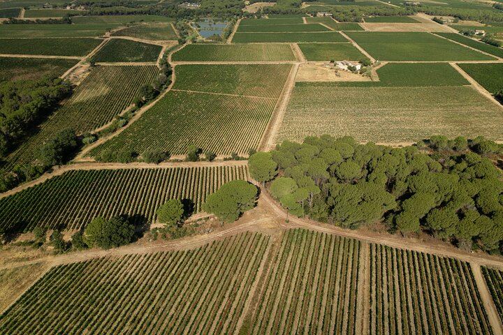 Small-Group Provence Rosé Wine Tour from Nice with Azur Wine Tours, Max 8 (7/12)