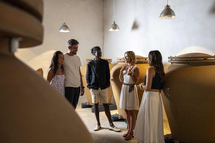 Private Provence Wine Day from Nice: Saint-Martin, Font du Broc and a Third Organic Estate (5/12)