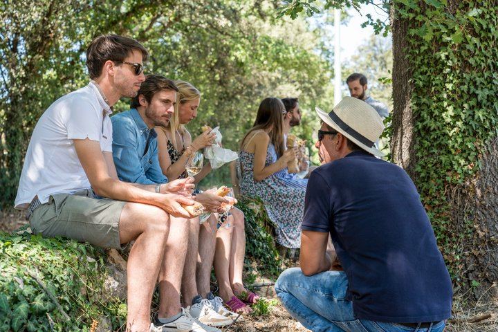 Half-Day Côtes de Provence Wine Tour from Aix-en-Provence, Two Traditional Wineries (9/9)
