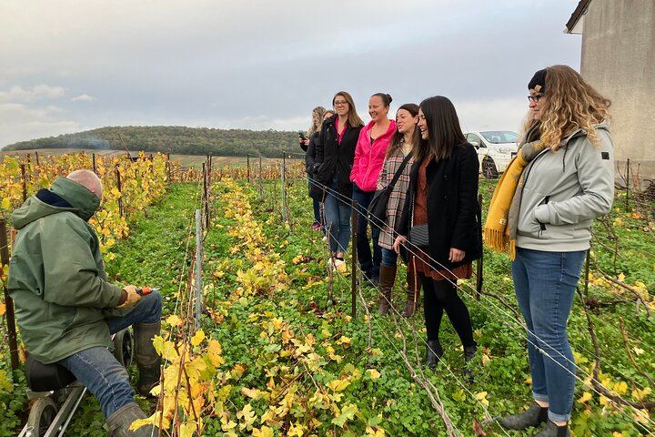 Small-Group Champagne Day Trip by Van, Max 8 Guests, with Lunch and Grower Tasting (7/8)