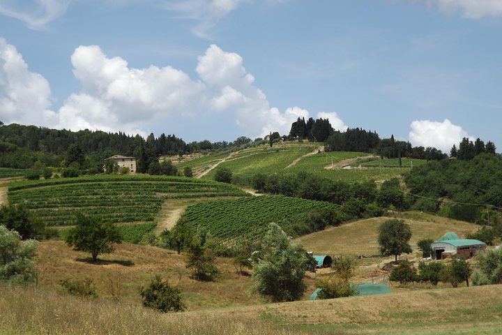Chianti Quad ATV Ride from Florence with Montefioralle, Greve and Winery Lunch (11/12)
