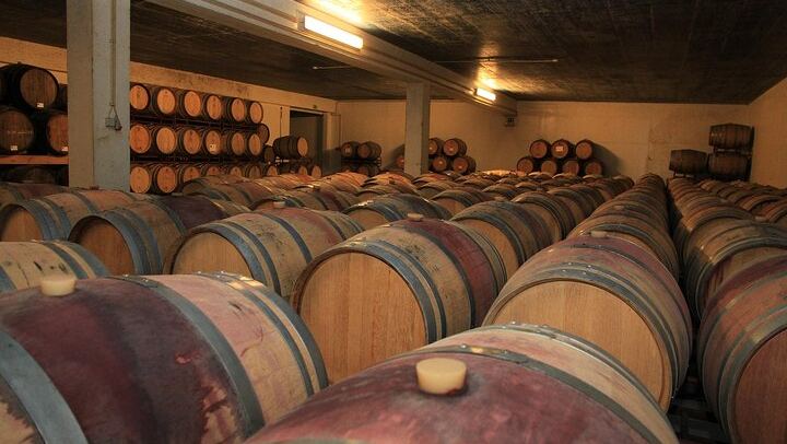 Arrábida Day from Lisbon for Max 8: Two Family Wineries, Tile Workshop, Sesimbra (3/12)