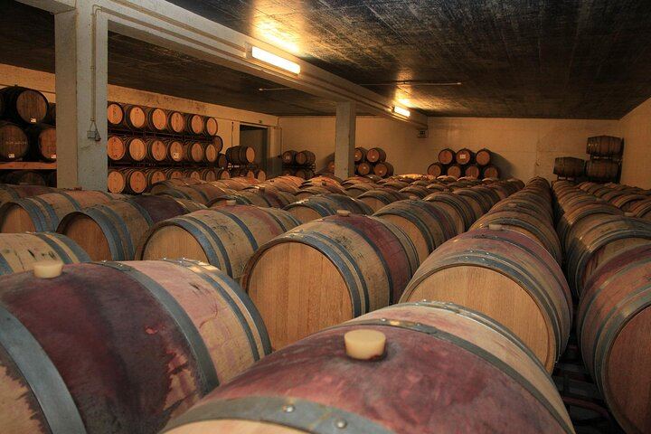 Arrábida Day from Lisbon for Max 8: Two Family Wineries, Tile Workshop, Sesimbra (3/12)