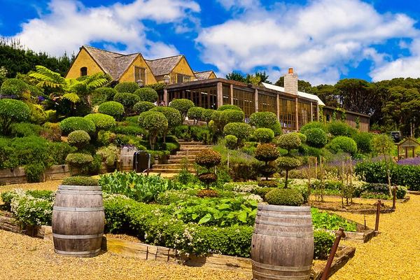 Waiheke Island Premium Wine Tour from Auckland: Max 11 Guests, 3 Boutique Vineyards