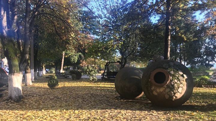 Private Full-Day Kakheti Wine Tour: Okros Organic Winery, Family Lunch and Khareba Tunnel (4/12)