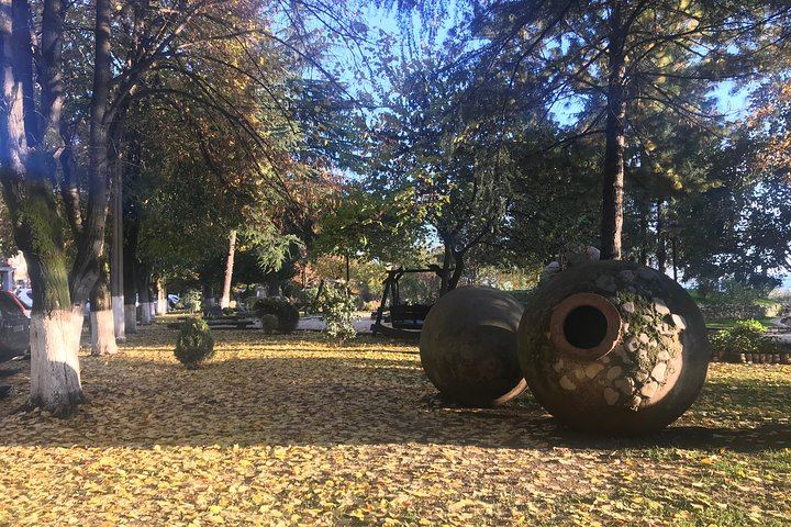 Private Full-Day Kakheti Wine Tour: Okros Organic Winery, Family Lunch and Khareba Tunnel (4/12)