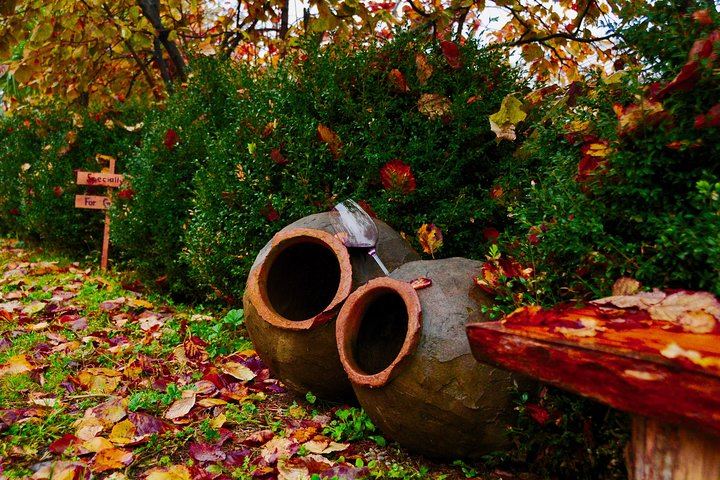 Private Organic Wine Day Trip from Tbilisi: Gvardzelashvili, Vellino and Okros Cellars (10/12)