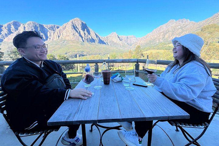 Private Wine Tasting at Tokara, Delaire Graff and Fairview in the Cape Winelands (7/10)