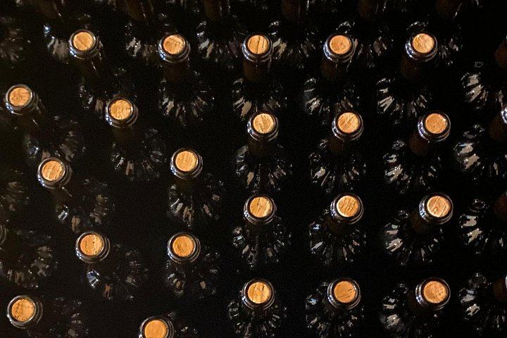 Private Sommelier-Led Langhe Hills Day: Barolo and Barbaresco Wineries, Osteria Lunch (8/12)