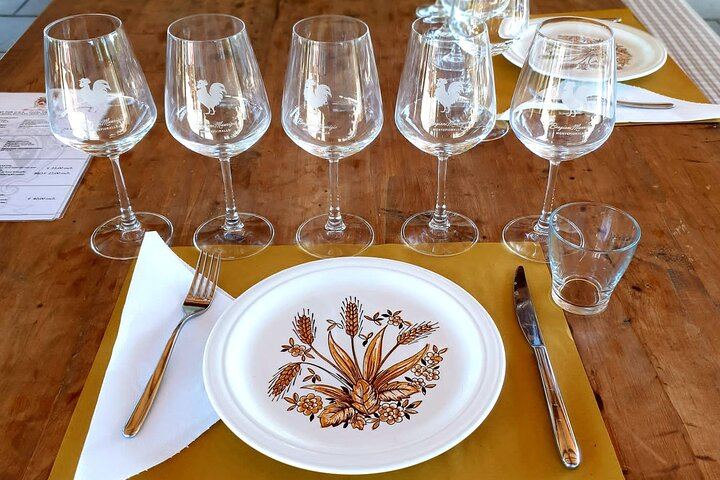 Five-Hour Chianti Sunset Tour from Florence with Driver and Two Tastings at a Family Farm (8/11)