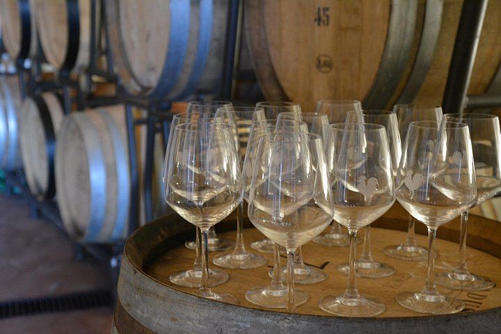 Small-Group Chianti Half-Day: Two Family Wineries, 8 Wines and Home-Cooked Lunch, Max 8 (5/12)