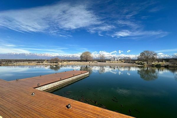 Huentala Wines Gualtallary Lunch: Group Shuttle from Mendoza with Wine Pairing