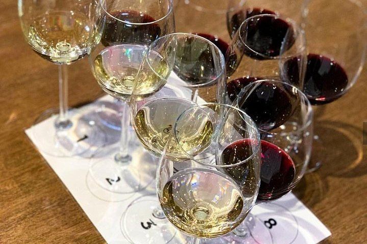 Stellenbosch Half-Day Wine Tour from Cape Town: Two Estates, Cellar Visit and Pairings (6/12)