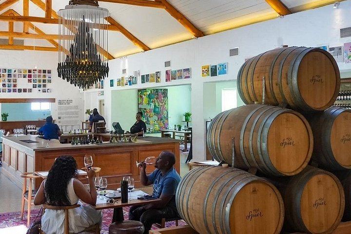 Private Paarl, Stellenbosch and Franschhoek Wine Estate Tour, Cape Winelands (3/6)
