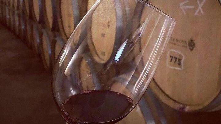 Premium Private Douro Valley Wine Tour with Hotel Pickup and Safe Travels (4/12)