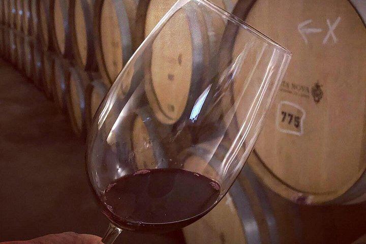 Premium Private Douro Valley Wine Tour with Hotel Pickup and Safe Travels (4/12)